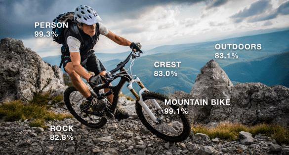 amazon rekognition,facebook,windows,yahoo mail,bla bla car