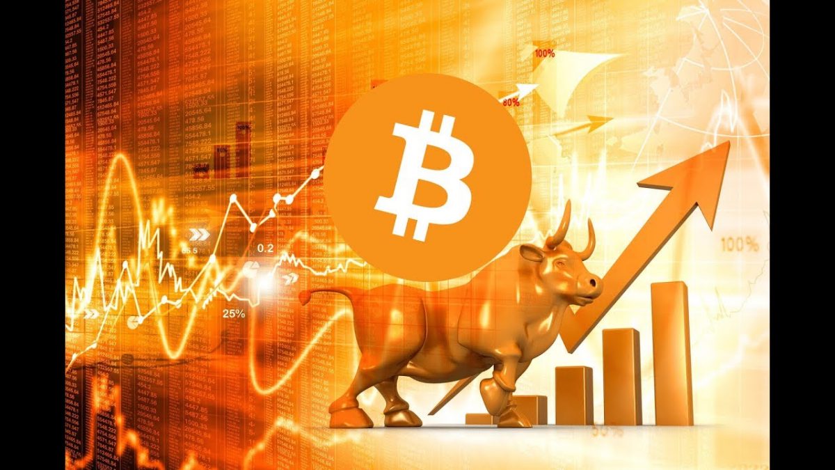 Naeem Aslam prezice ca Bitcoin va atinge 100.000$ in urmatorul bull run
