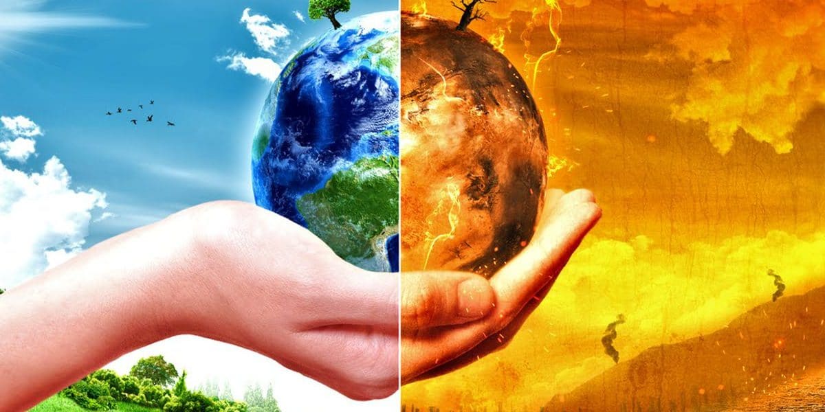 10 companii Start-up care combat schimbarile climatice cu ajutorul tehnologiei