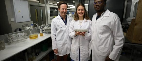 Oamenii de stiinta au inventat o caramida care se construieste singura