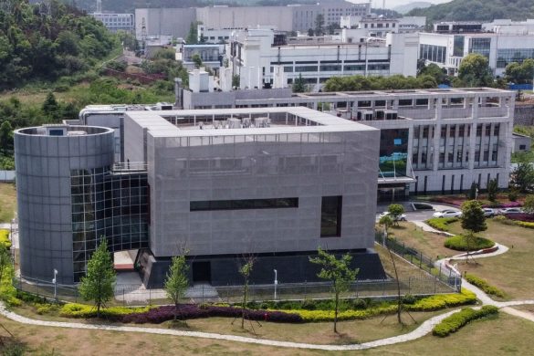 25.000 conturi apartinand unor membri OMS, fundatiei Gates si unui laborator de virologie din Wuhan au fost expuse pe internet